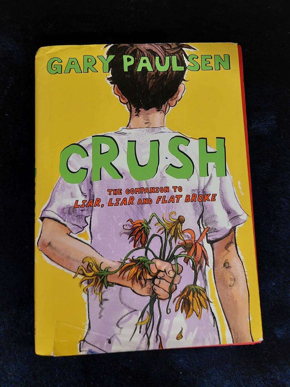 Book Crush